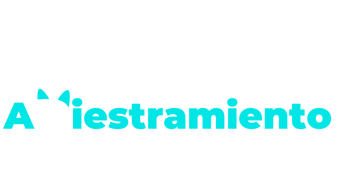 Programas de Adistramiento Programas de Adistramiento