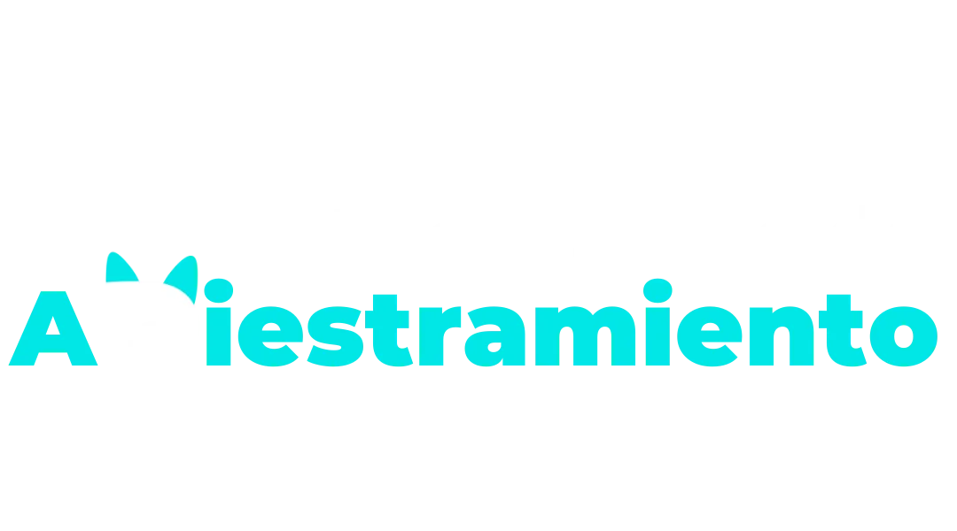 Programas de Adistramiento